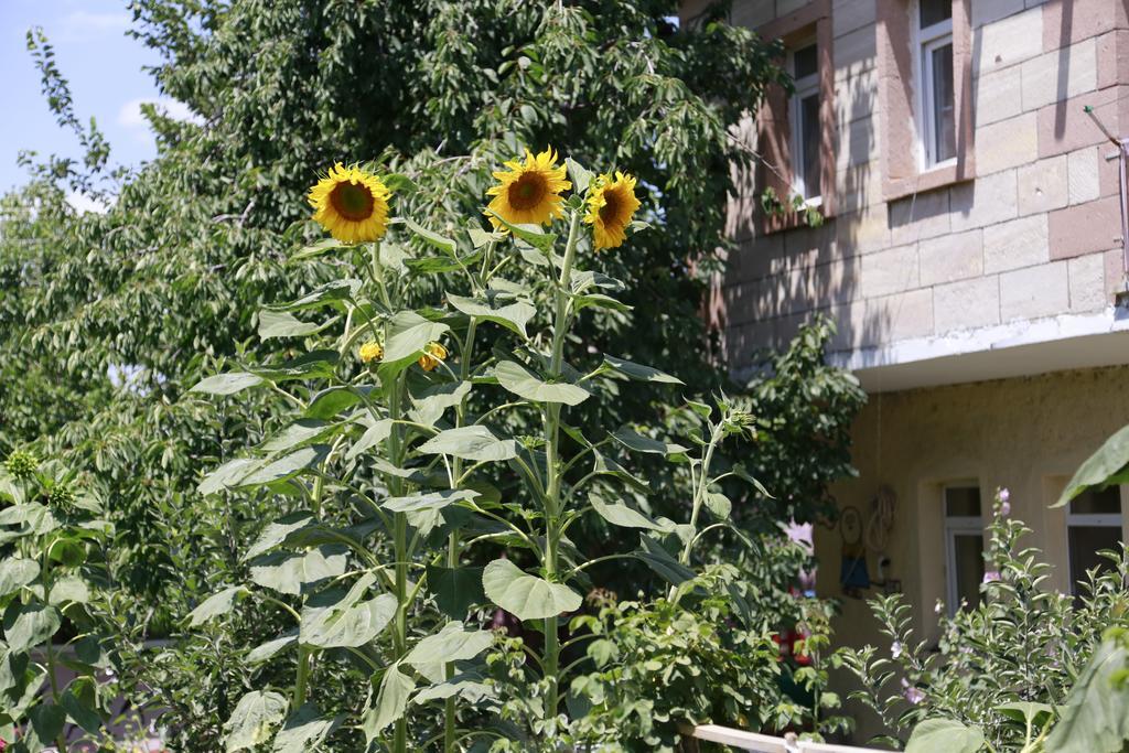 Garden Of Cappadocia Apartamento Üçhisar Exterior foto